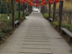 -白马涧龙池景区