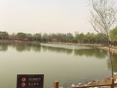 -燕郊植物园