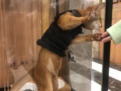 -袖虎·猫馆(体育西路店)