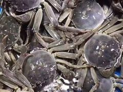-王四营海鲜市场