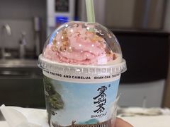 -雾与山茶(大禹城店)