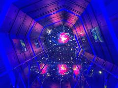 -夏黑子坛子鱼(总店)