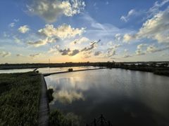 -盐城丹顶鹤湿地生态旅游区