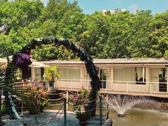 -芭厘·农庄老字号.电饭煲五指毛桃焗鸡