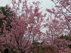 -南溪山景区