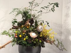 -深圳国际园林花卉博览园