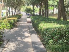 -木塔寺遗址生态公园