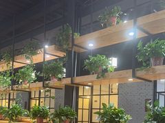 -桃源村铁锅炖鱼(体育馆道店)