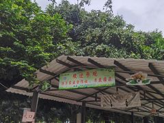 -伟记牛蹄(道滘店)