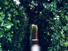 -顶层酒吧ROOF(上海艾迪逊酒店)