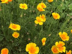 -北京植物园南门售票处