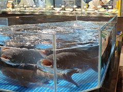 -绿杨春·淮扬宴(庐山路店)