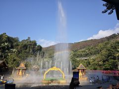 -西双版纳原始森林公园