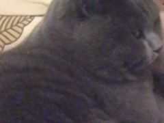-好這口重庆小面(总店)