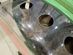 -芭比堂动物医院(广州爱宠下渡路分院)