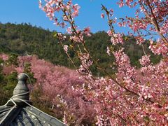 -楠溪江风景名胜区