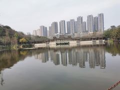 -重庆彩云湖湿地公园