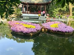 -汇龙潭