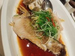 -皇朝尊会(龙之梦大酒店)