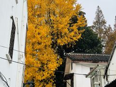 -相门城墙文化休闲景区