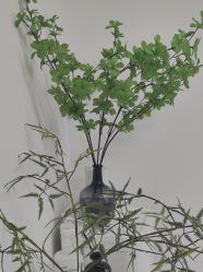 -变美丽半永久纹眉连锁·机器野生眉·洗眉