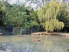 -溱湖国家湿地公园