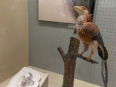 -辽宁古生物博物馆