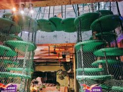 -恐龙探索乐园(磁器口店)