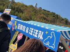 -羊山湖公园