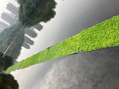 -重庆彩云湖湿地公园