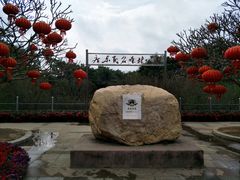 -广东茂名森林公园