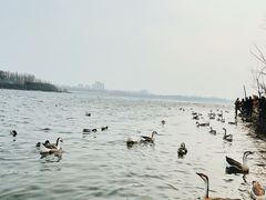 -沈阳市东陵公园