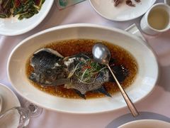 -骏莱海鲜鱼港(五角场店)