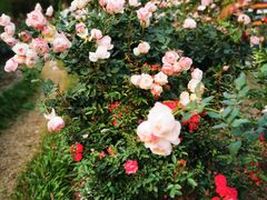 -人民公园(罗湖区)