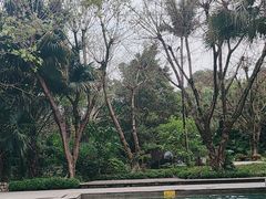 -鱼凫国都大酒店温泉
