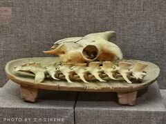 -巴音郭楞蒙古自治州博物馆