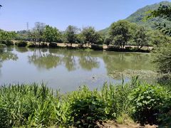 -八卦田遗址公园