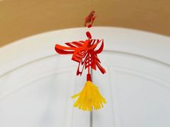 -北科婴幼学苑