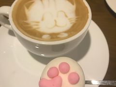 -猫色咖啡·猫咖