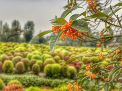 -花开海上生态园
