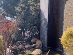 -南诏风情岛
