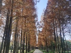 -歌斐颂巧克力小镇