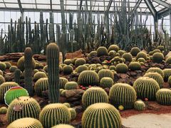 -南通洲际绿博园