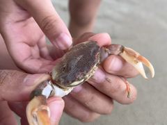 -北海银滩一号国际会议中心酒店