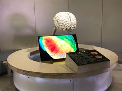 -陕西自然博物馆