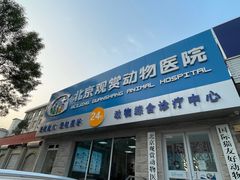 -北京观赏动物医院·24小时大型综合·猫专科·异宠专科