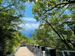 -圣莲山风景区