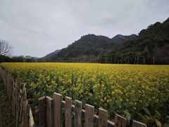 -贵阳市花溪国家城市湿地公园