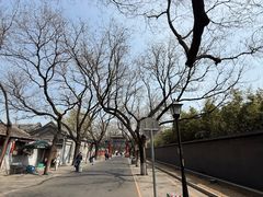 -北京国子监胡同