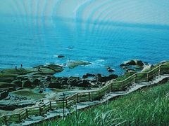 -燕儿岛山公园